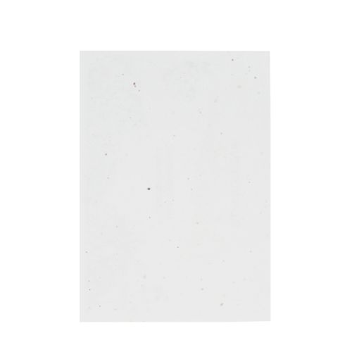 Unbedrucktes Samenpapier DIN A5 | 200 g/m² - Bild 2